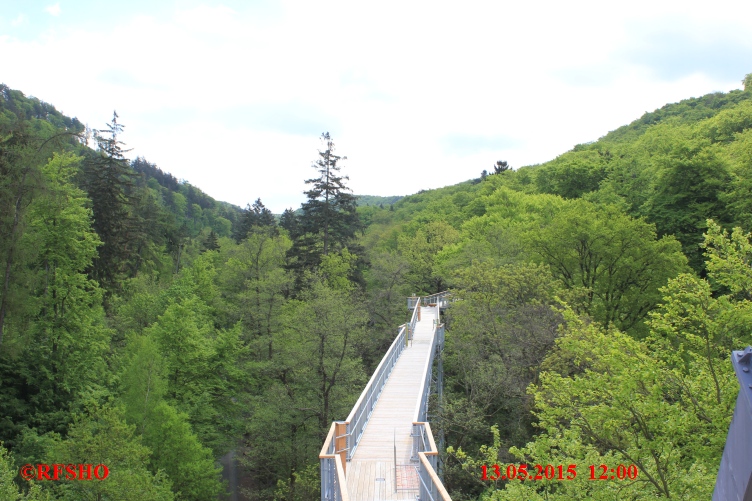 Baumwipfel Pfad Bad Harzburg