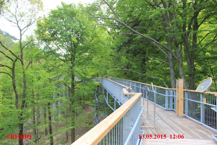 Baumwipfel Pfad Bad Harzburg