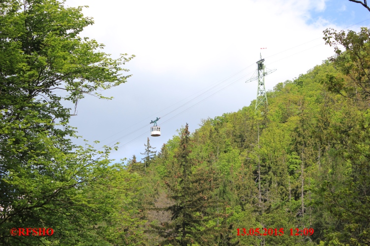 Baumwipfel Pfad Bad Harzburg