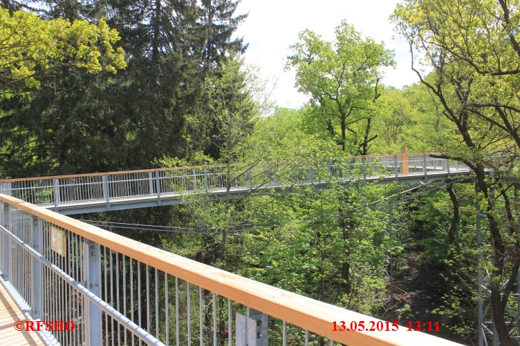 Baumwipfel Pfad Bad Harzburg