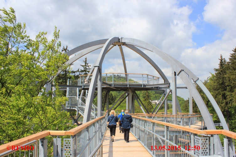 Baumwipfel Pfad Bad Harzburg