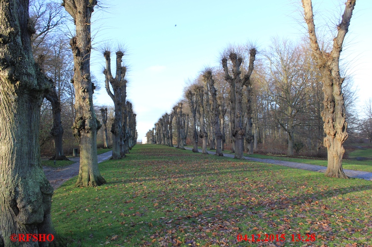 Søndermarken