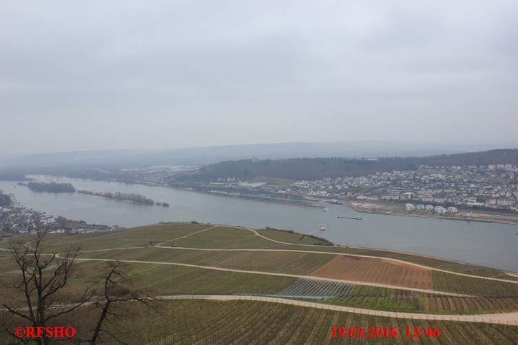 Blick vom Niederwalddenkmal