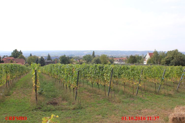 Weinberg Haus Steinbach