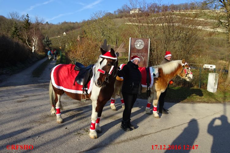 Advent in den Weinbergen, Roßbach 