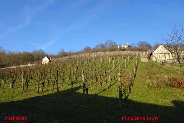 Advent in den Weinbergen, Roßbach 