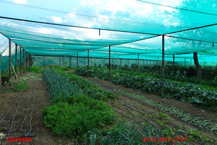 Krumhuk Farm