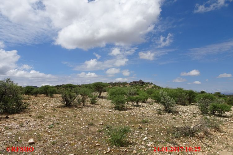 Safari Gocheganas Nature Reserve