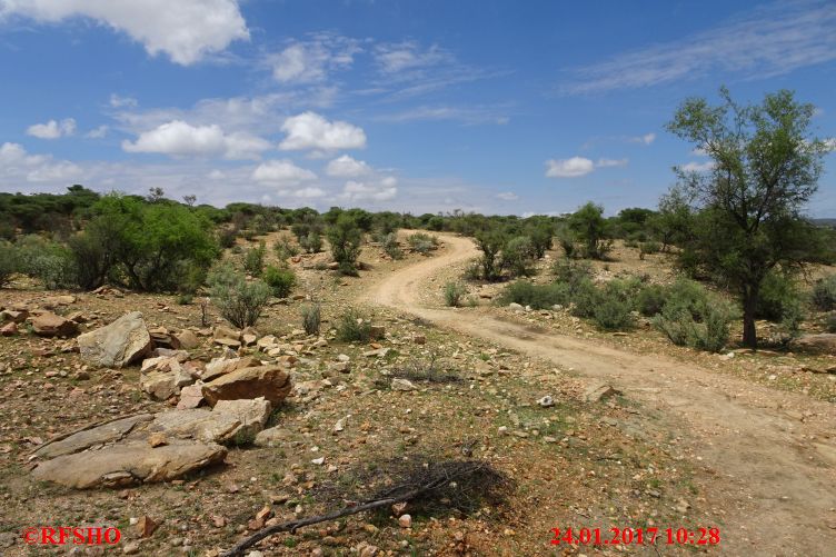 Safari Gocheganas Nature Reserve