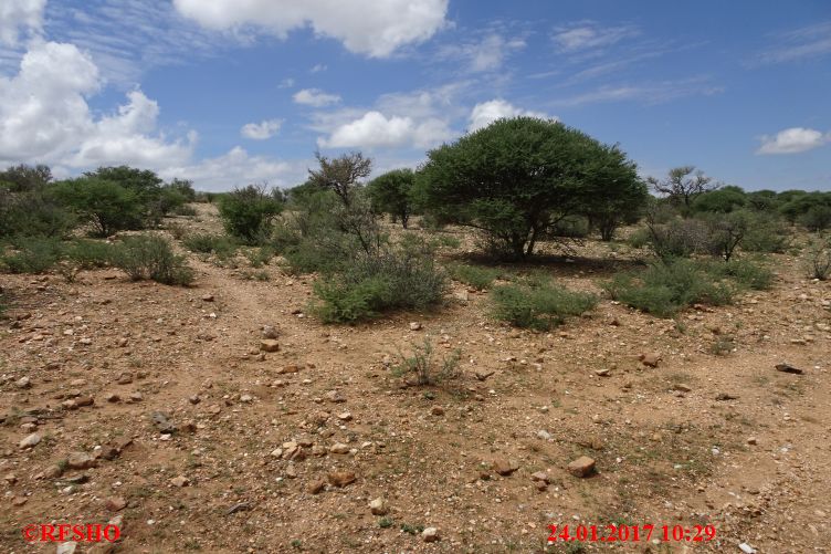 Safari Gocheganas Nature Reserve