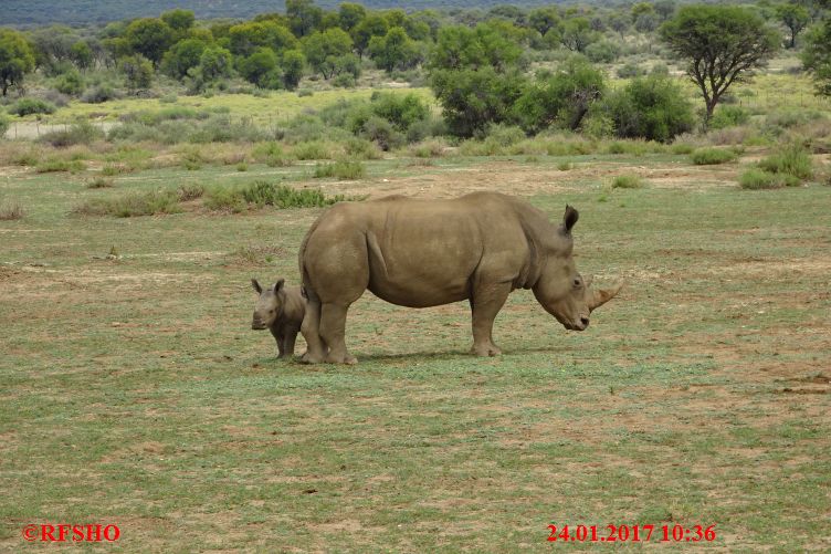Safari Gocheganas Nature Reserve