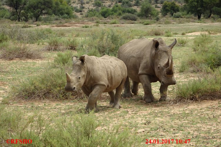 Safari Gocheganas Nature Reserve