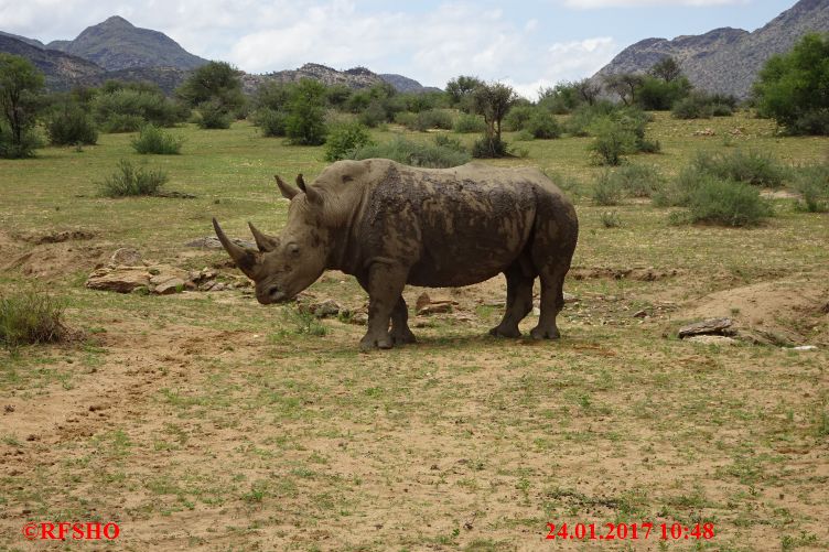 Safari Gocheganas Nature Reserve