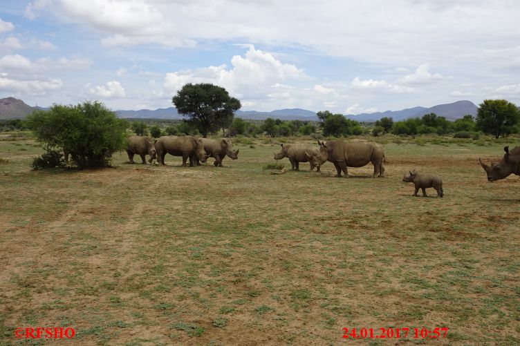Safari Gocheganas Nature Reserve