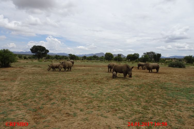 Safari Gocheganas Nature Reserve