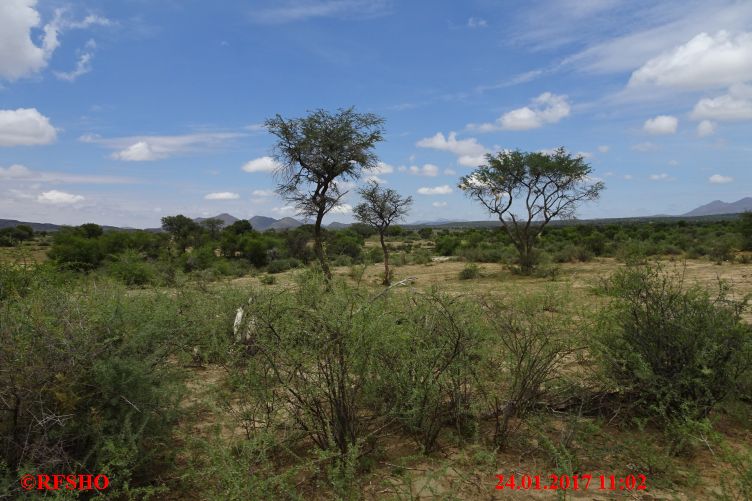 Safari Gocheganas Nature Reserve