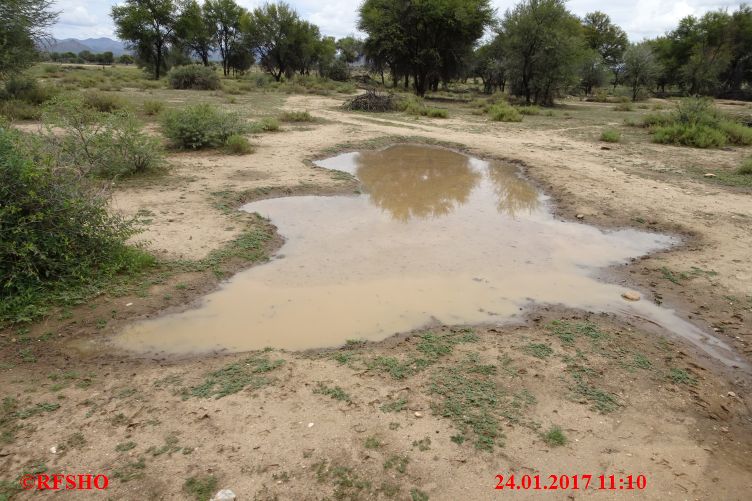 Safari Gocheganas Nature Reserve