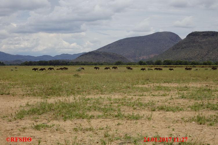 Safari Gocheganas Nature Reserve