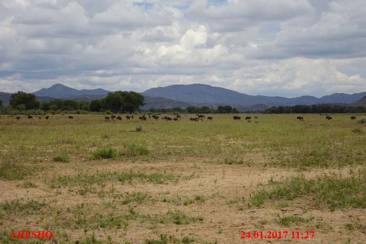 Safari Gocheganas Nature Reserve