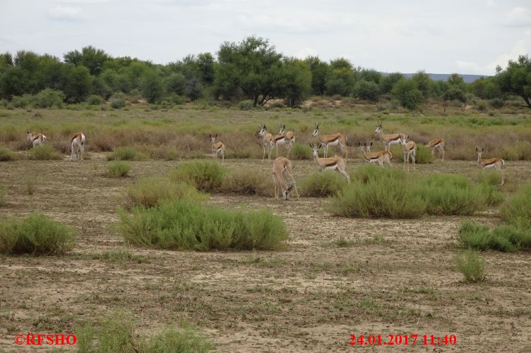 Safari Gocheganas Nature Reserve