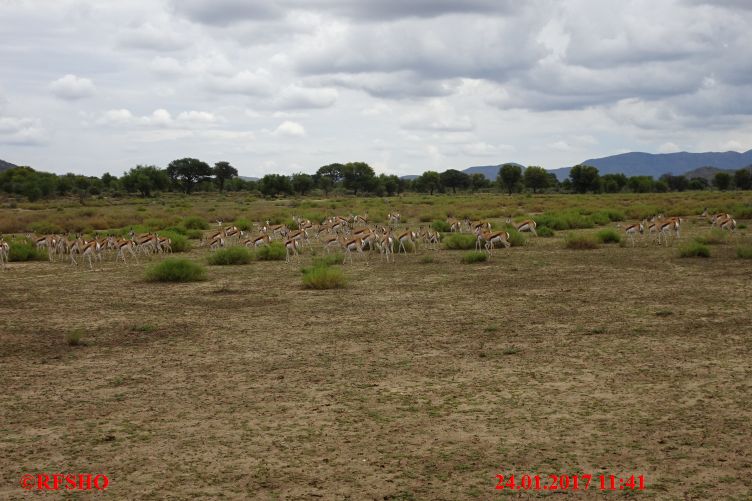 Safari Gocheganas Nature Reserve