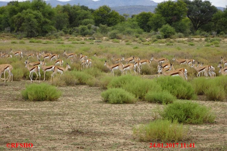 Safari Gocheganas Nature Reserve