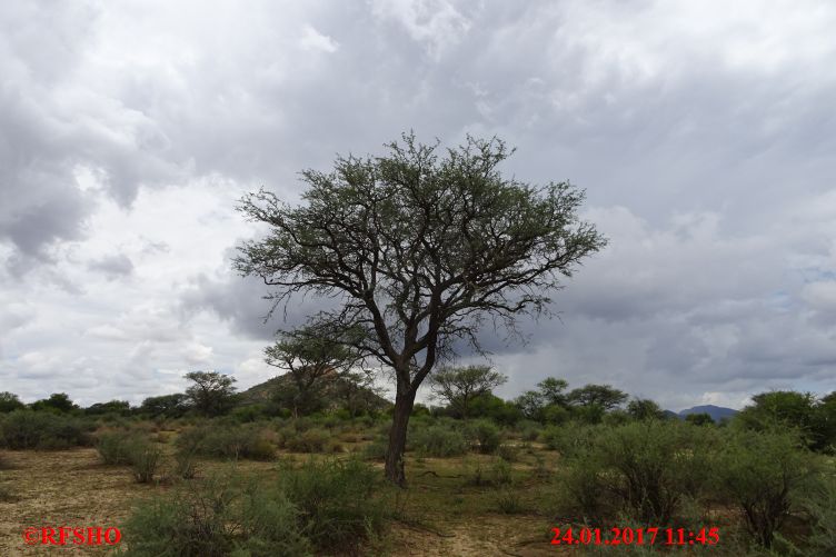 Safari Gocheganas Nature Reserve