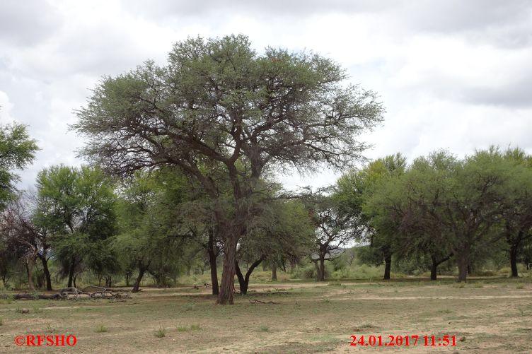 Safari Gocheganas Nature Reserve