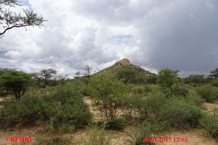 Safari Gocheganas Nature Reserve