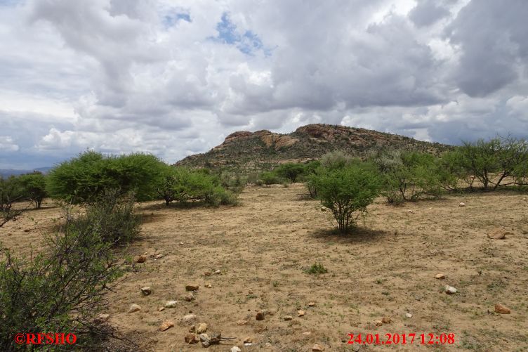 Safari Gocheganas Nature Reserve
