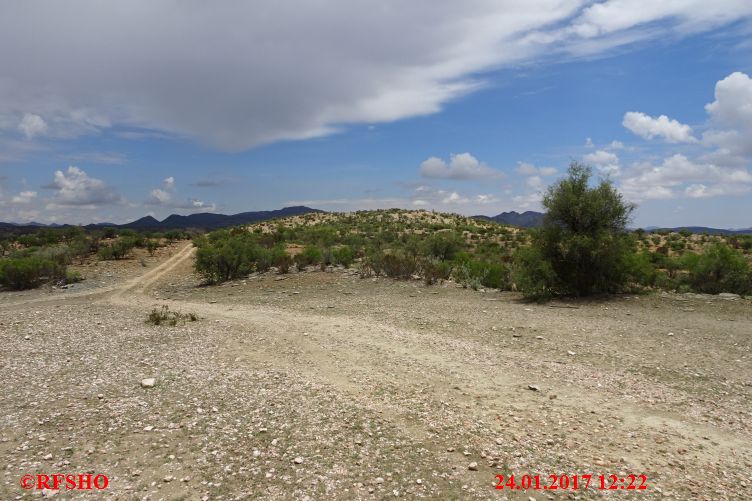 Safari Gocheganas Nature Reserve