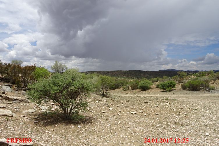 Safari Gocheganas Nature Reserve