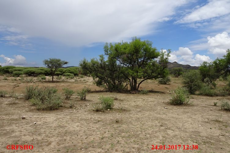 Safari Gocheganas Nature Reserve