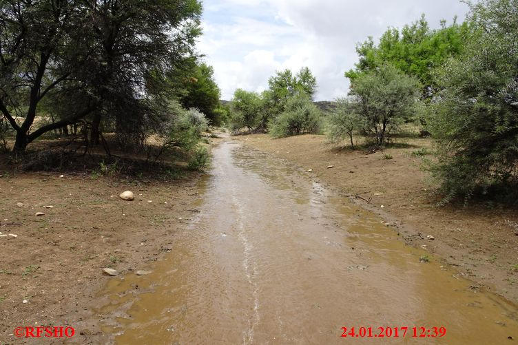 Safari Gocheganas Nature Reserve