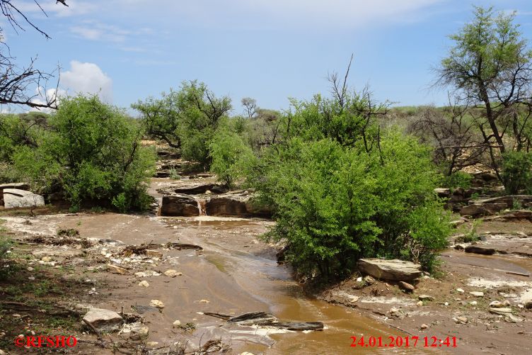 Safari Gocheganas Nature Reserve