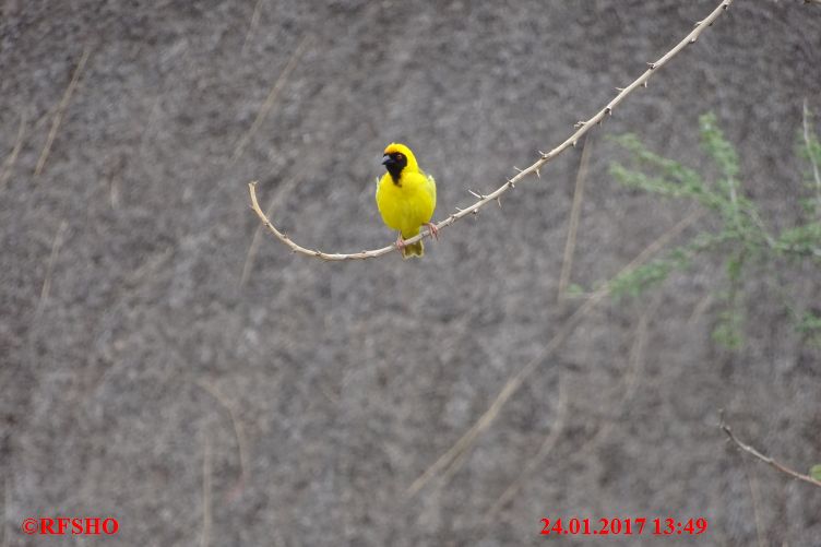 Safari Gocheganas Nature Reserve