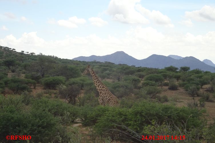 Safari Gocheganas Nature Reserve
