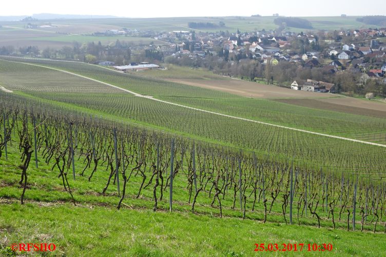 Weinberg bei Appenheim