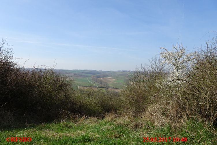 Wanderweg in den Weinbergen bei Appenheim