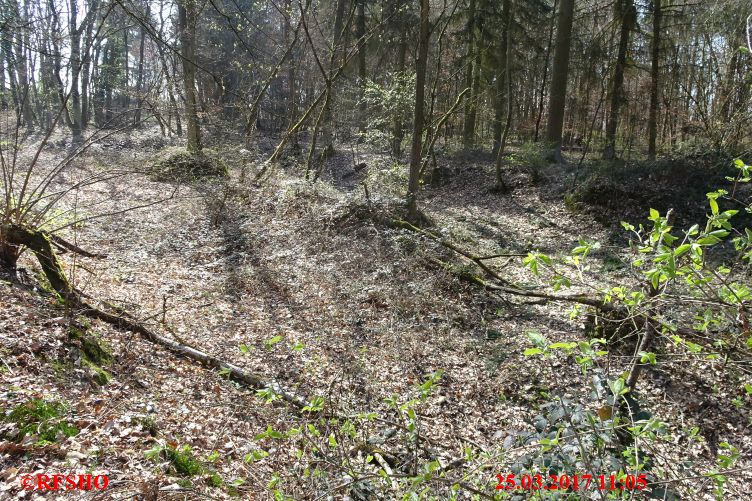 Naturschutzgebiet Gau-Algesheimer Kopf, Salamanderlöcher