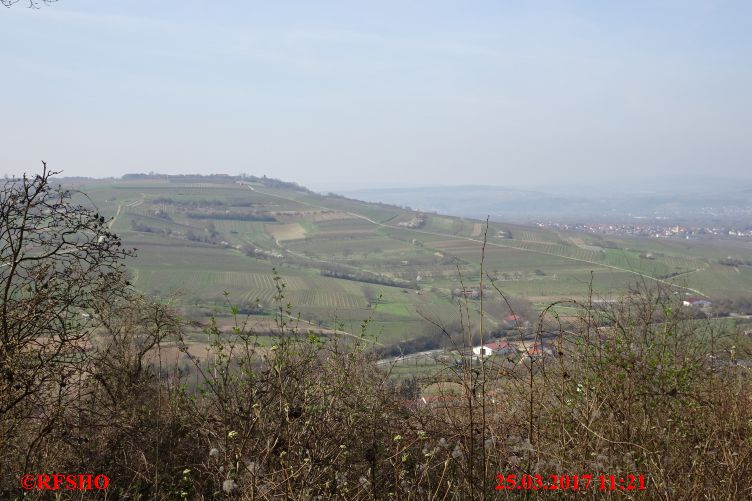 Naturschutzgebiet Gau-Algesheimer Kopf
