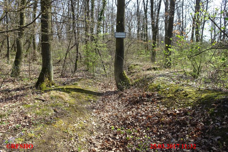 Naturschutzgebiet Gau-Algesheimer Kopf, Infanteriestellung