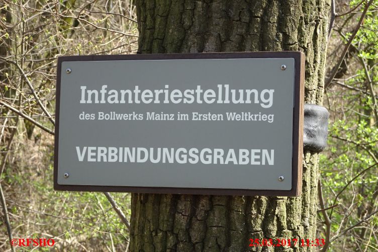 Naturschutzgebiet Gau-Algesheimer Kopf, Infanteriestellung
