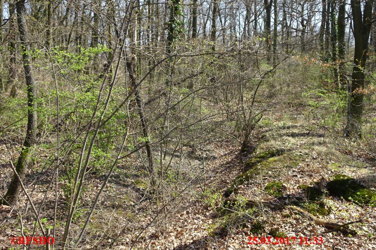 Naturschutzgebiet Gau-Algesheimer Kopf, Infanteriestellung