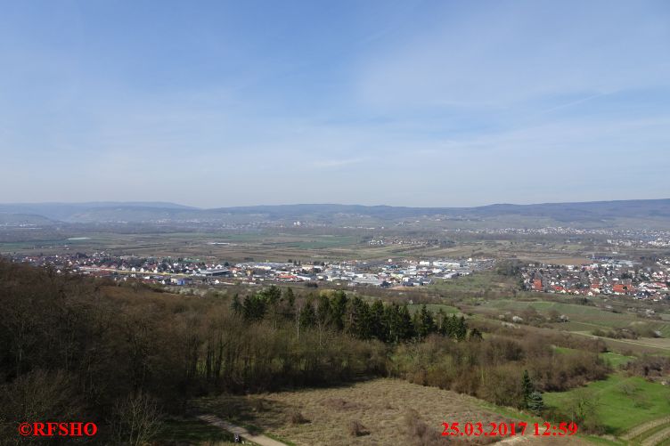 Gau Algesheim vom Bismarkturm 