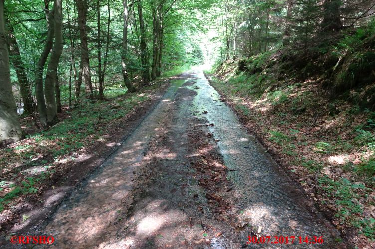 Wanderweg im Eckertal