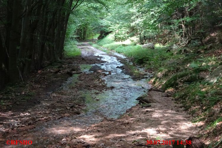 Wanderweg im Eckertal