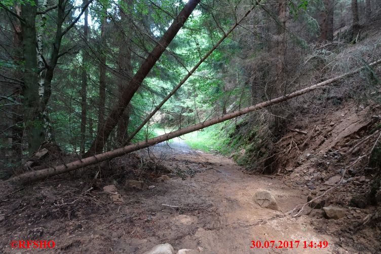 Wanderweg im Eckertal