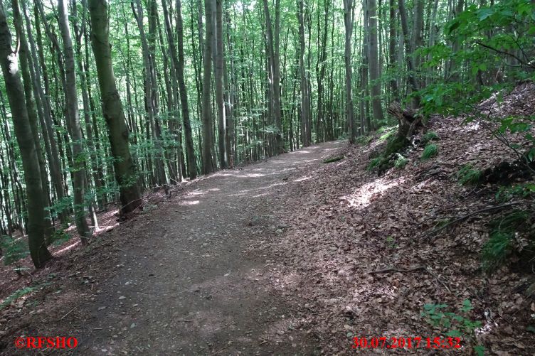 Braunschweiger Weg