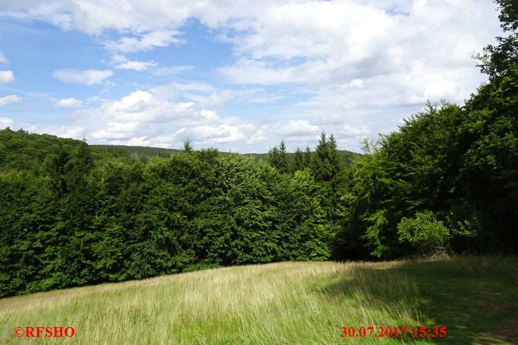 Braunschweiger Weg
